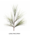 Long needle pine spray