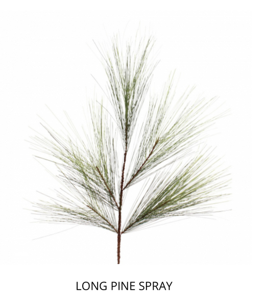 Long needle pine spray