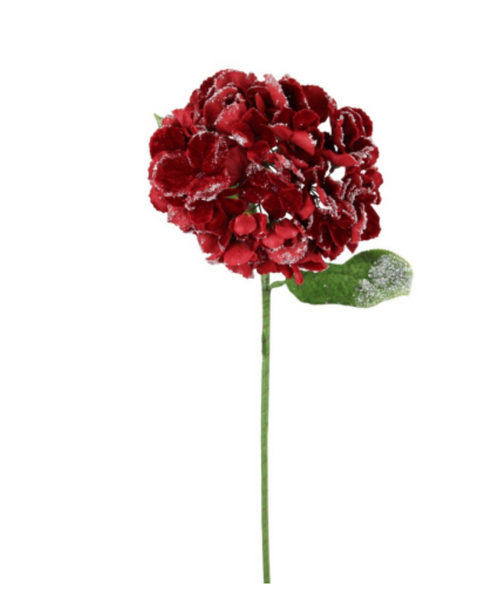 Frosted hydrangea stem