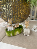 Mr. and Mrs. salt and pepper bunny shakers